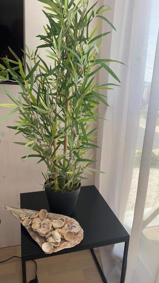 פאקוסטאן Buqez Eco Resort - Beach Villa 37 And 40 מראה חיצוני תמונה